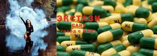шишки Губаха